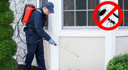 Nurdağı Böcek ve Haşere İlaçlama böcek ilaçlama ve haşere kontrolü — ilaclama-tr.com